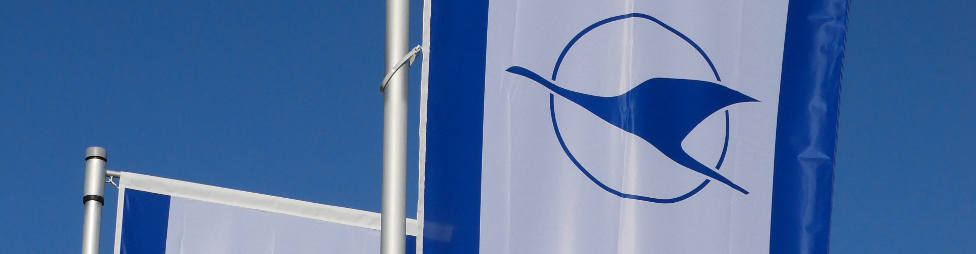DAeC Banner